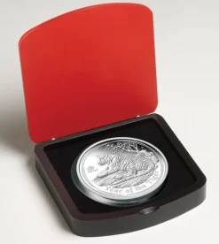 Lunar II Tiger 1 KG Silber Proof 2010 + Box + COA*