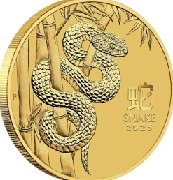 Lunar 3 - Schlange - 10 Oz Gold 2025