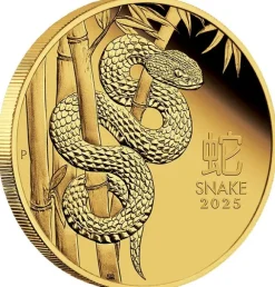 Lunar 3 - Schlange - 1/10 Oz Gold Proof 2025 + Box + COA