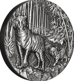 Lunar 3 - Tiger - 2 Unzen Silber Antik 2022 + Box + COA*
