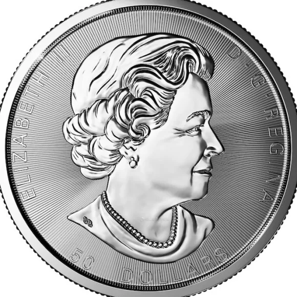 Maple Leaf - Magnificent - 10 Oz Silber 2017 *