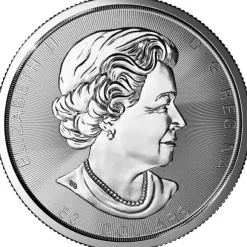 Maple Leaf - Magnificent - 10 Unzen Silber 2018*