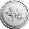 Maple Leaf - Magnificent - 10 Unzen Silber 2019 *