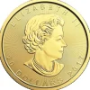 Maple Leaf 1/2 Oz Gold verschiedene Jahrgänge