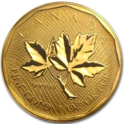 Maple Leaf - 5x9 - 1 Oz Gold 2008 - Blister