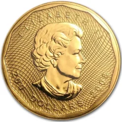 Maple Leaf - 5x9 - 1 Oz Gold 2008 - Blister