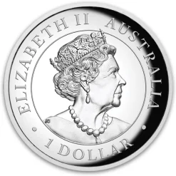 1 Oz Silber High Relief Känguru 2019*