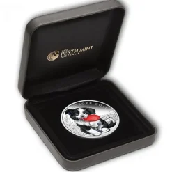 Puppies - Border Collie - 1/2 Oz Silber 2018 +Box +COA *