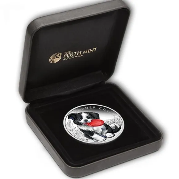 Puppies - Border Collie - 1/2 Oz Silber 2018 +Box +COA *
