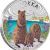 Quokka 1 Unze Silber farbig 2025 +Box +COA