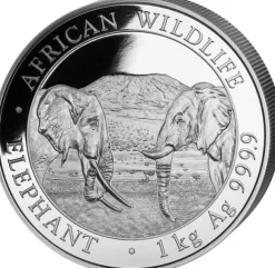 Somalia Elefant 1 KG Silber 2020*