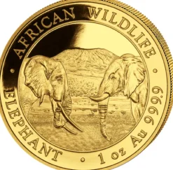 Somalia Elefant 1 Unze Gold 2020