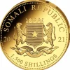 Somalia Elefant 5 Unzen Gold Proof 2021 + Box + COA
