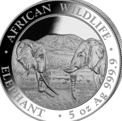 Somalia Elefant 5 Unzen Silber 2020 *