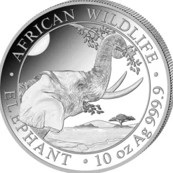 Somalia Elefant 10 Unzen Silber 2023*