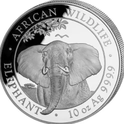 Somalia Elefant 10 Unzen Silber 2021*