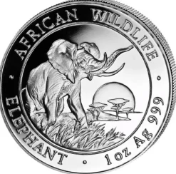 Somalia Elefant 1 Unze Silber 2009*