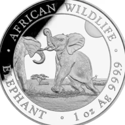 Somalia Elefant 1 Unze Silber 2024*