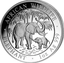 Somalia Elefant 1 Unze Silber 2007*
