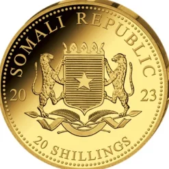 Somalia Leopard 0,5 Gramm Gold 2023