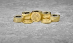 Tudor Beasts - Lion of England - 1 Unze Gold 2022