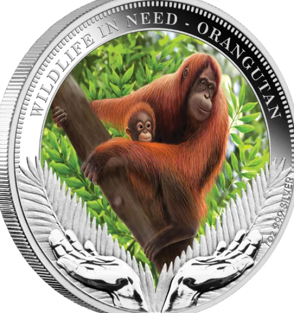 Wildlife in Need - Orangutan - 1 Oz Silber Proof 2011 +Box +COA*